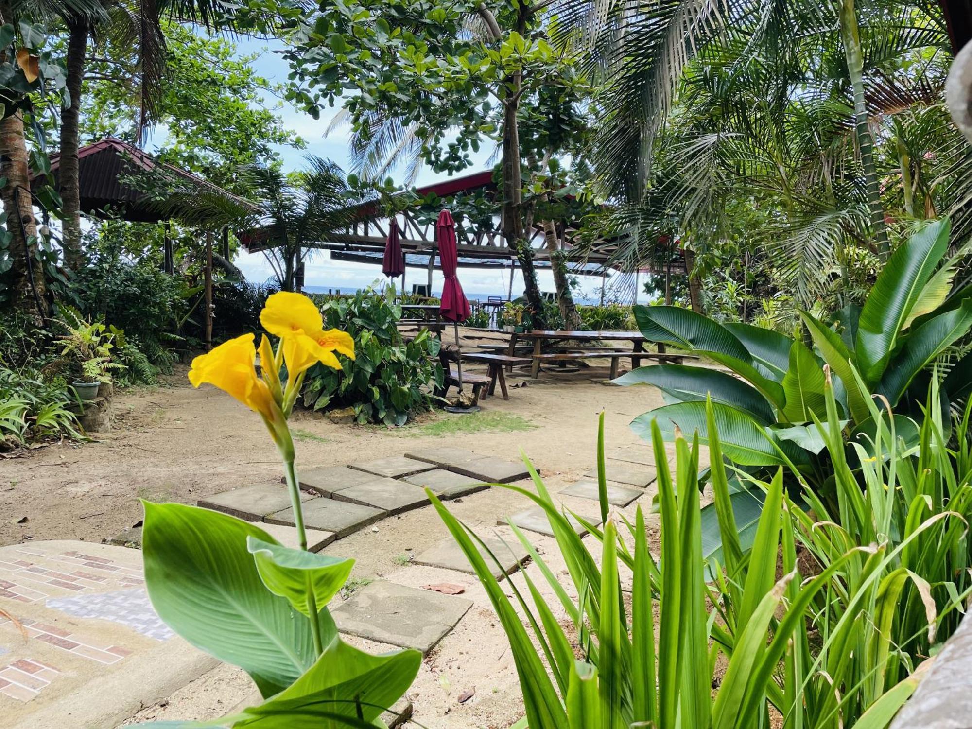 Buruanga White Beach Front And Cottages מראה חיצוני תמונה